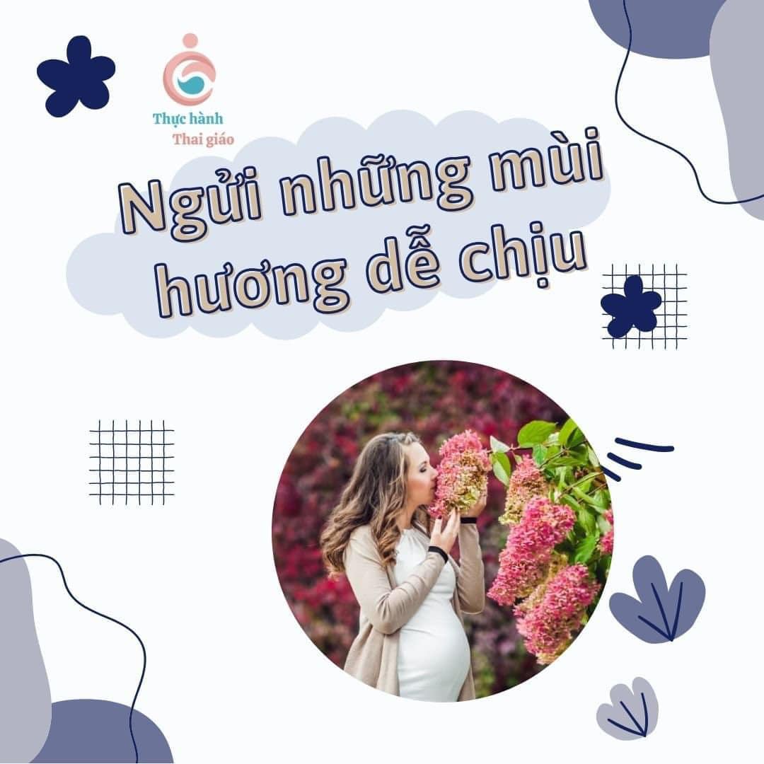 Em bé trong bụng mẹ có cảm nhận được mùi không?