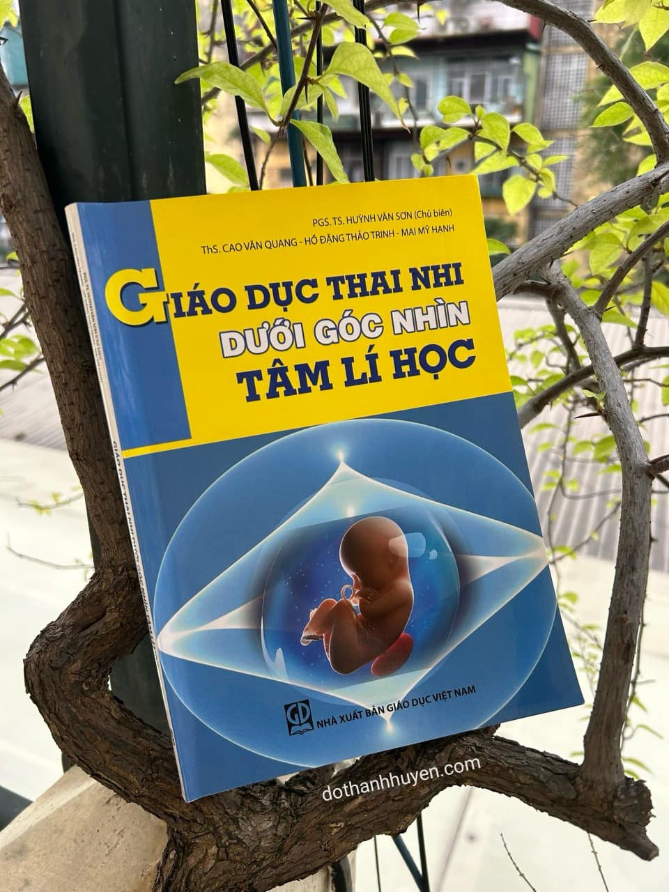 Giáo dục thai nhi dưới góc nhìn tâm lý học